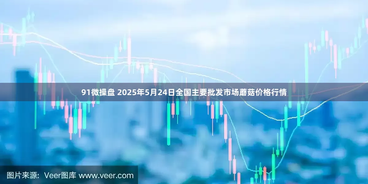 91微操盘 2025年5月24日全国主要批发市场蘑菇价格行情
