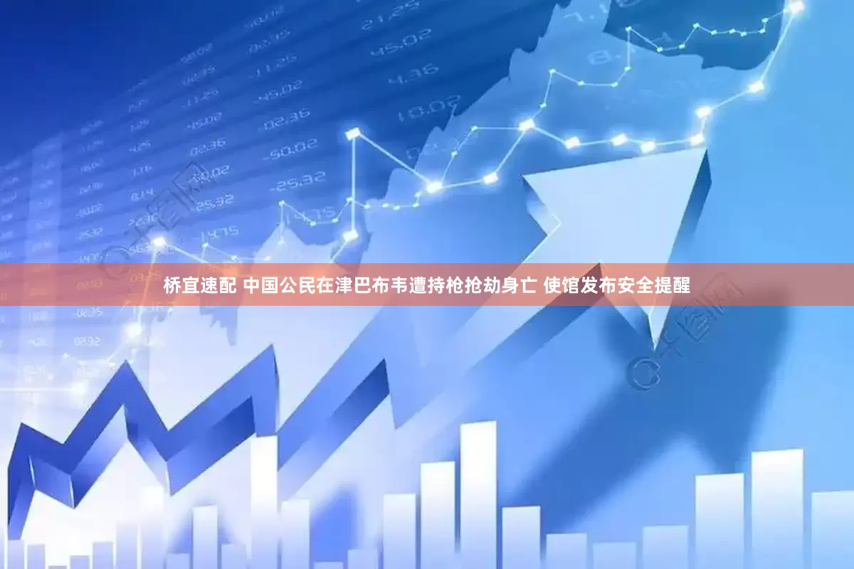 桥宜速配 中国公民在津巴布韦遭持枪抢劫身亡 使馆发布安全提醒